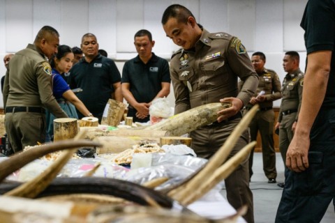 The ivory haul included cut pieces and fragments, as well as prayer beads, jewellery and knife handles, police say