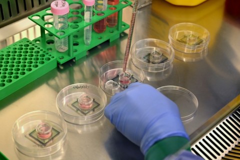Each so-called 'biological computer' contains around 200,000 living human brain cells