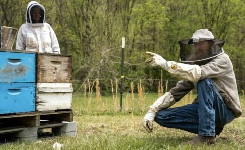 US beekeeper Roy Funkhouser (r) has a fraction of the beehives he should have due to catastrophic losses in recent years, not least by varroa mites