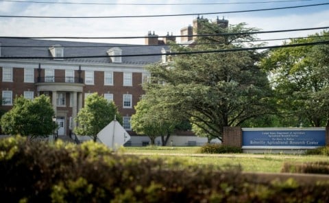 The US Department of Agriculture's Beltsville Agricultural Research Center will close this year, leaving the fate of the nation's oldest bee lab uncertain