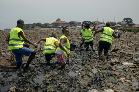 Sierra Leone boasts spectacular wildlife but its environment is under severe threat from deforestation
