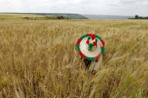 Farmers say higher fuel prices are driving up the cost of nearly everything needed to produce crops