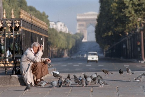 Some people still like pigeons, feeding them in parks