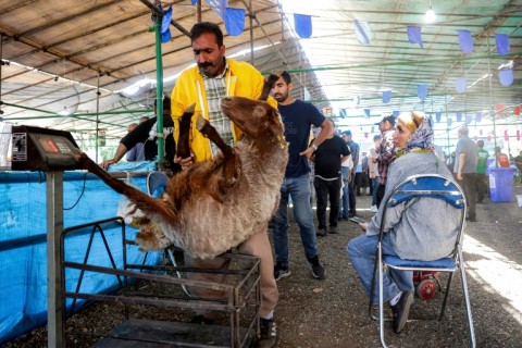 Iranians were preparing for the Muslim festival of Eid Al-Adha despite the threat of renewed war