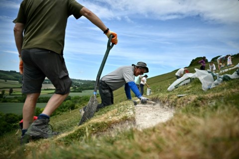 The giant is formed of a series of trenches carved about 30 centimetres deep into the underlying chalk hill
