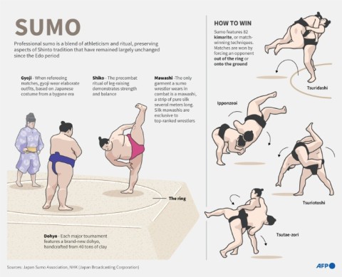 Sumo