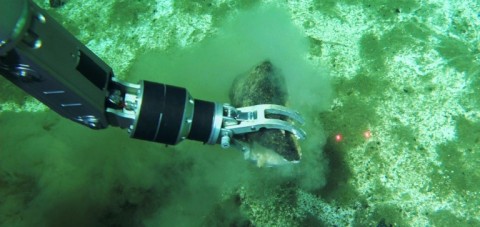 Fossil samples being collected by the robotic arm of the submersible
