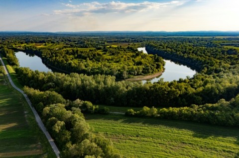 The nearby wetlands provide a great environment for the returning storks