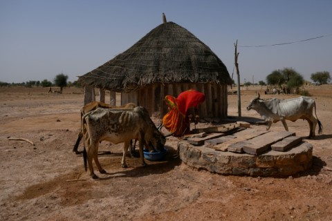 Seema Kawar draws water from a well in 44 degrees Celsius temperatures, outside their house in Sanwata village on the outskirts of Rajasthan's Jaisalmer city