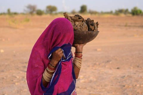 In India's hot plains, scorching summers have become increasingly harder to endure, requiring adaptations and forcing life into the hours of dark before the sun turns punishing