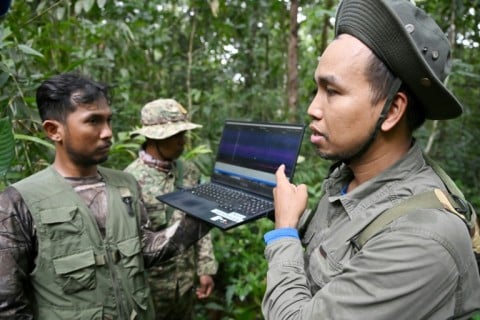 Hidden microphones, cameras and artificial intelligence to reveal the secrets of species living deep in Cambodia's Cardamom Mountains