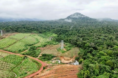By showing that everything from pangolins to elephants call the Cardamom Mountains home, conservationists hope to secure its future
