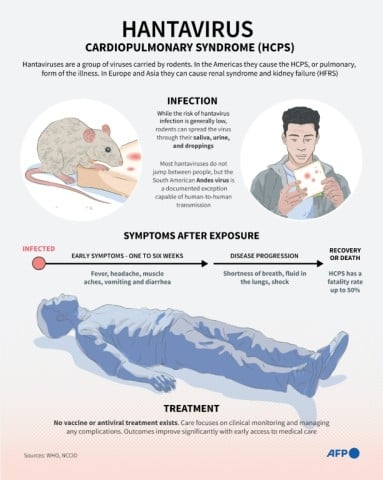 An infographic explaining hantavirus