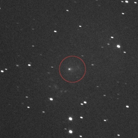 NASA dismissed the suggestion that the comet could be an alien spacecraft