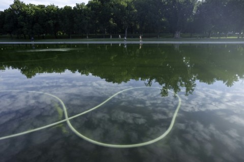 Algae is visible in the Lincoln Memorial Reflecting Pool as cleanup efforts continue where newly applied blue paint has peeled from the bottom, in Washington, DC