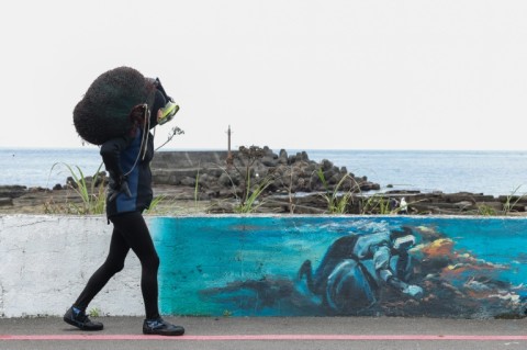 Seaweed foraging on the rocky coastline at the edge of the Pacific Ocean can be arduous and dangerous