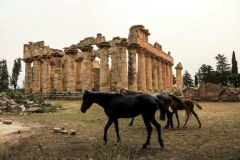 The archaeological site of Cyrene was the target of looting by jihadists when the country descended into chaos following the fall of Muammar Gaddafi in 2011