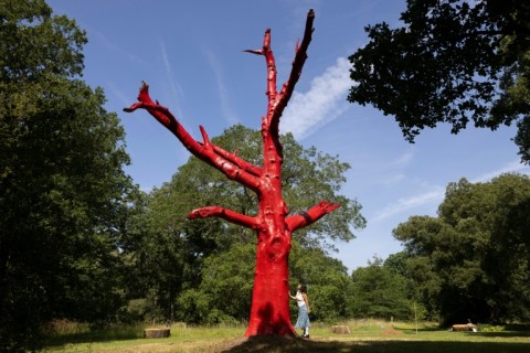 The "Climate Changed Oak Tree" was painted red after dying in the drought of 2022 stands in Kew Gardens, west London