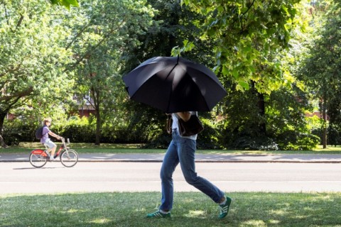 A pedestrian sheltered from the sun in London's Hyde Park