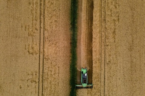 Combine harvesters may spark a fire in tinder dry crops