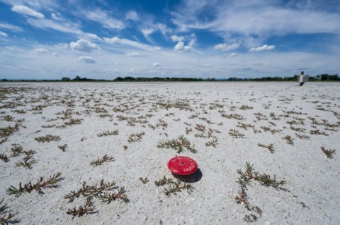 Scientists say human-driven climate change is behind the more regular, more intense heatwaves