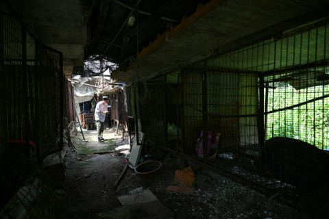An animal rights activist checks empty cages at an abandoned dog slaughter facility in Pyeongtaek