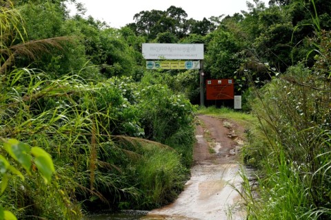 The tigers would start their new lives in a 40-hectare enclosure at the end of a red dirt track, around four kilometres from the nearest main road