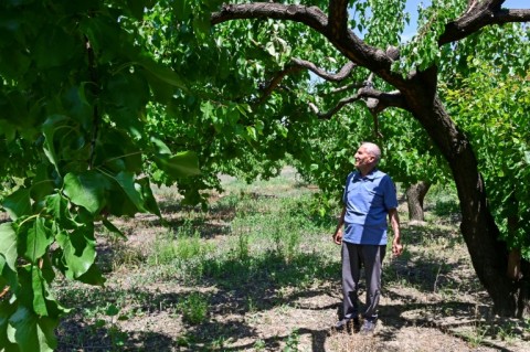 Ex-Soviet Armenia has strong formal ties to Moscow
