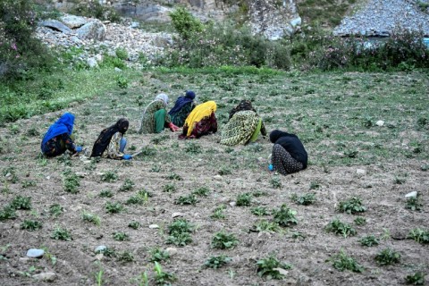 one local woman farmers said under the condition of anonymity that they need more tools as well as opportunities to trade