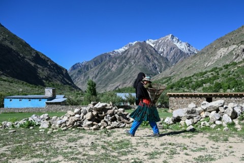 In Afghanistan, women are generally allowed to farm but have been banned by the Taliban government from most jobs