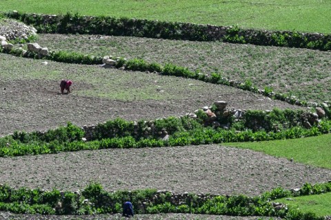 Climate change poses challenges, with less predictable snow and rain, or by bringing floods that destroy crops