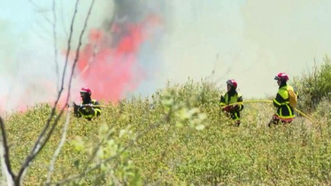 Canadair aircraft and firefighters work to contain wildfire in southern France