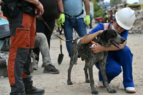 Rescue dogs also brought moments of comfort amid a sea of sadness in quake-hit Venezuela
