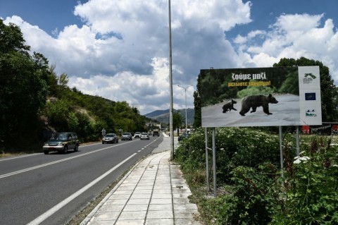 A sign for a bear crossing path and reading "we live together, reduce speed" outside Kastoria where bear numbers have led to human complaints