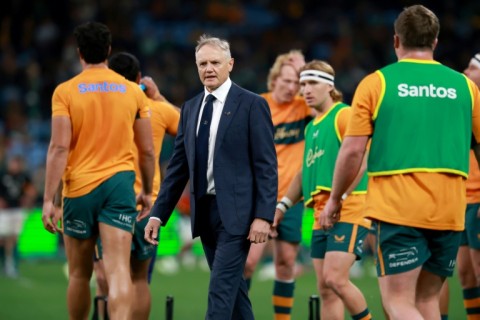 Australia's clasg wuth France in Brisbane will be the penultimate Test for Wallabies coach Joe Schmidt (C)