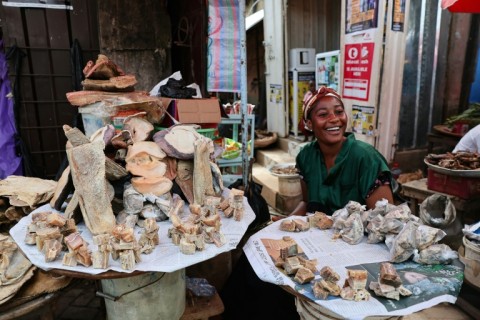 When dried and salted, guitarfish is used in soups and stews across Ghana