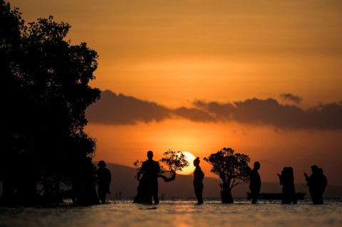 People stand near mangrove trees during sunset at Walakiri beach in Waingapu on Sumba