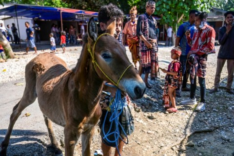 A horse is brought to be sacrificed at the funeral of nobleman Dicki Takandjandji