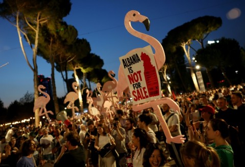 Flamingos have become the symbol of the protests