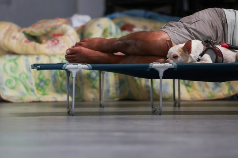 Unable to return home, some people and animals spent the night in a community centre