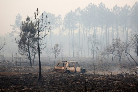 Residents living on the edge of the forest were told to evacuate in haste