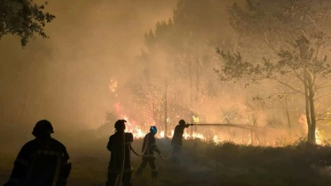 Fire crews have been battling day and night to try to counter the blazes in southwest France