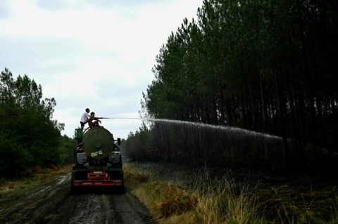 Volunteer farmers have been helping out