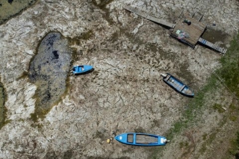 Both Bulgaria and Romania said they recorded low Danube levels much sooner than last year
