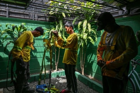 Workers put on safety gear before installing solar panels on a roof in Carmona, in the Philippine province of Cavite