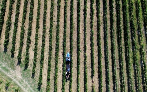 'Abnormal heat is a symptom of climate change which (we) must take into account,' says Castellani