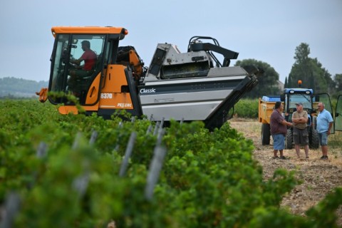 Gleyzes had to uproot 30% of his vines in 2025 after 2 years of acute drought in Mediterranean France