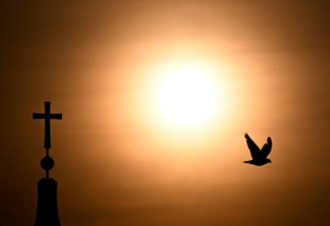 Europe also sweltered through a scorching summer this year, with prolonged heatwaves pushing temperatures above 40C in parts of the south