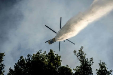 Researchers estimate that some 16,000 hectares of land have been destroyed across the country