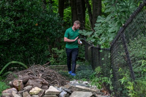 Todd Montgomery, owner of Bee Safe Mosquito Control, says that business is buzzing